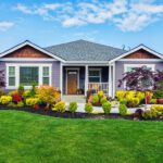 lawn