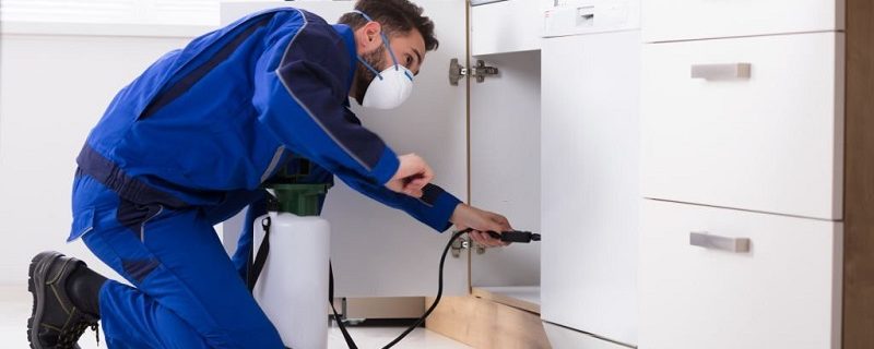 pest-control.jpg