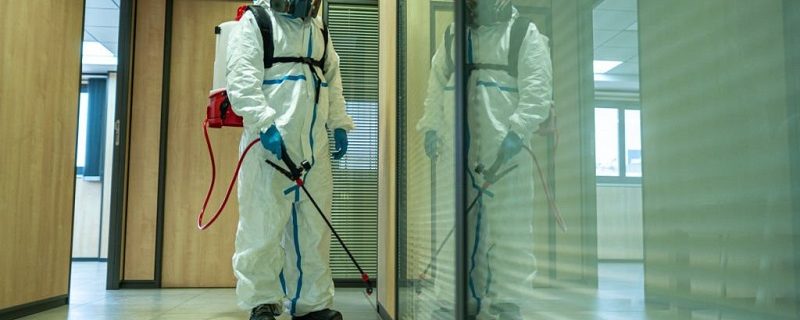 pest-control-services