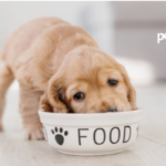 https://theinfomood.com/