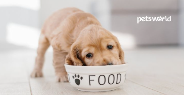 https://theinfomood.com/