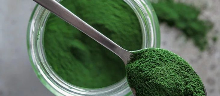 Global Chlorella Market