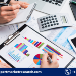 Latin America Accounting Software Market