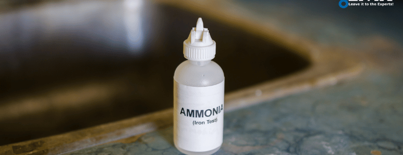 Southeast Asia Ammonia Market