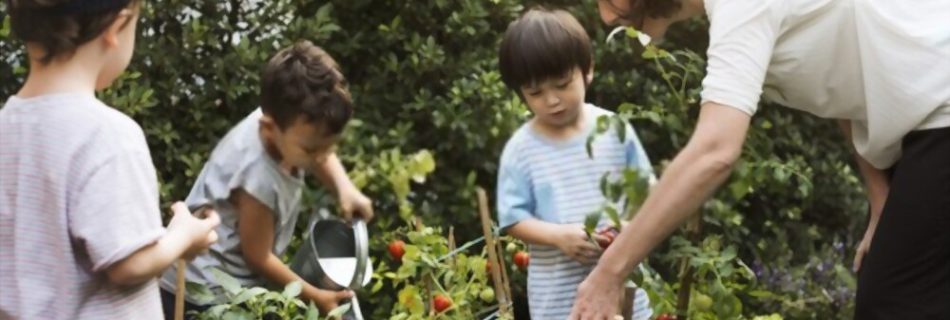 garden tour
