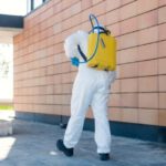 Pest Control Wentworthville