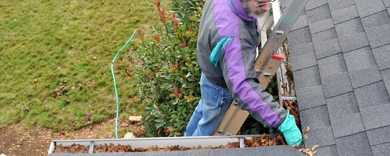 Gutter Cleaning