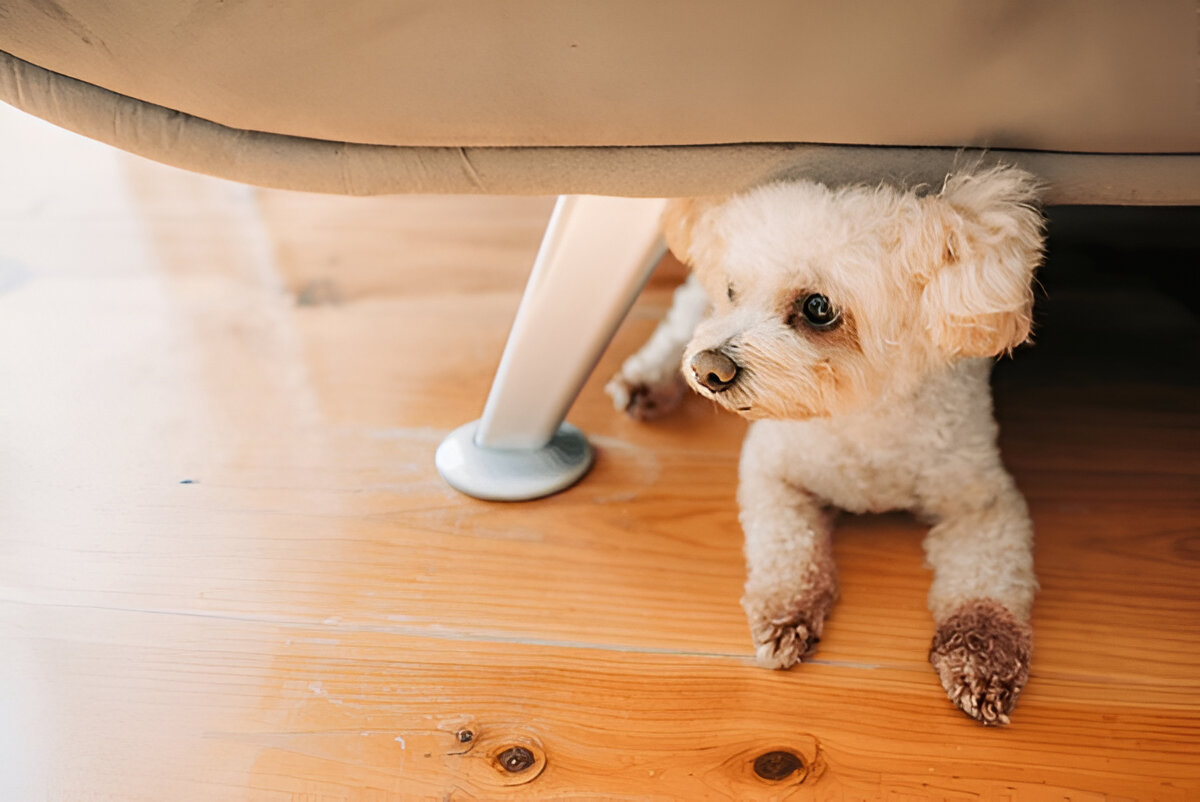 Hybrid Flooring